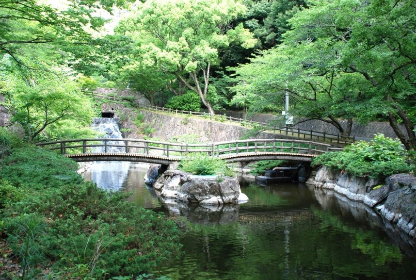 不動の滝カントリーパーク内は緑でいっぱい＝三豊市豊中町