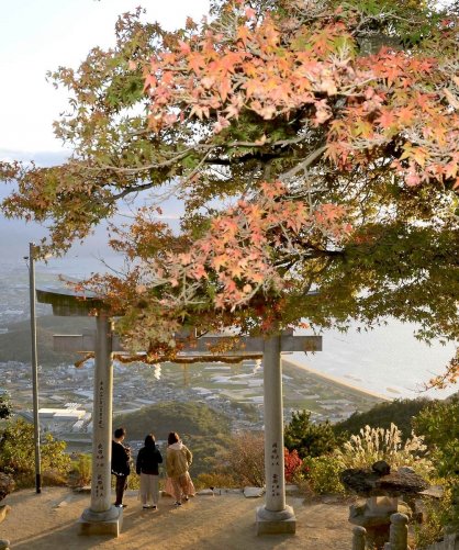 観音寺・天空の鳥居（2019年11月撮影）