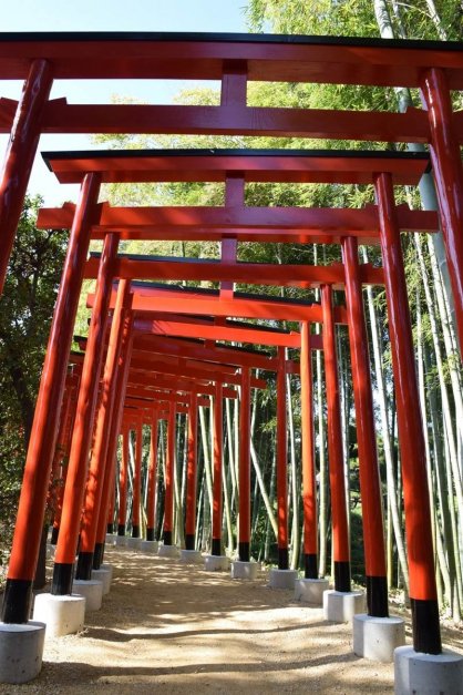 中津万象園の稲荷社へと連なる鳥居＝丸亀市中津町