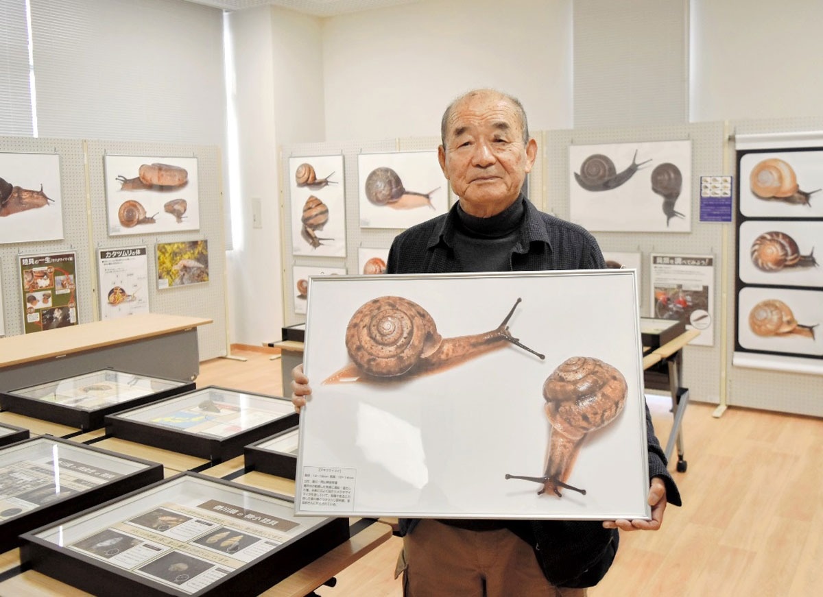 世界のカタツムリ見て 収集家が300点展示 東かがわ ニュース Cool Kagawa 四国新聞社が提供する香川の観光情報サイト