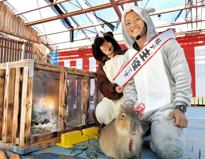 園の主役の座をバトンタッチした干支の引き継ぎ式＝香川県東かがわ市松原、しろとり動物園