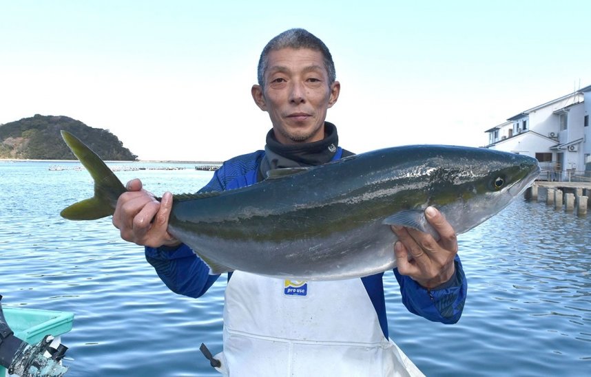 水揚げされたばかりの鮮度抜群の「ひけた鰤」＝香川県東かがわ市引田