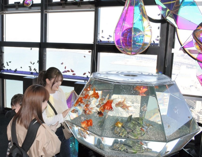 色鮮やかな金魚と眼下の景色を同時に楽しめる「天空の煌めき」＝香川県宇多津町、ゴールドタワー