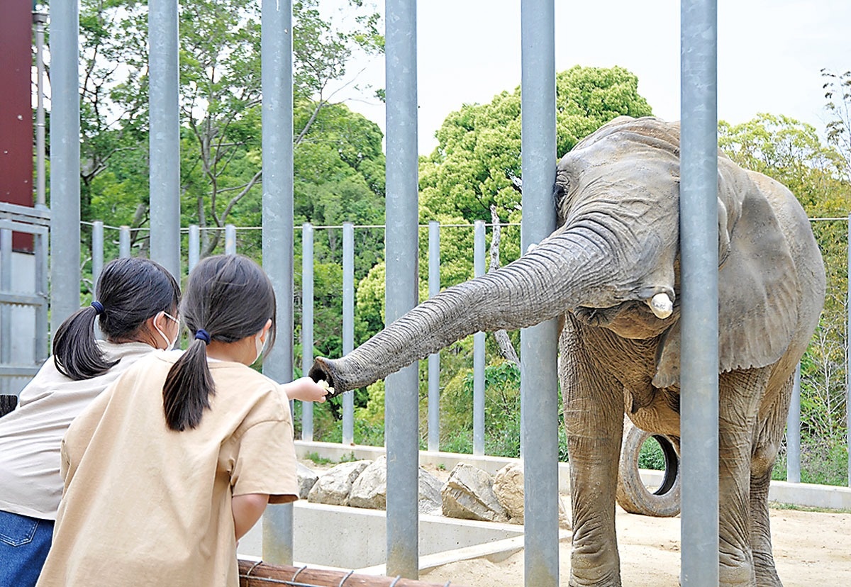 １カ月ぶり笑顔広がる しろとり動物園再開 約５０組 触れ合いや餌やり ニュース Cool Kagawa 四国新聞社が提供する香川 の観光情報サイト