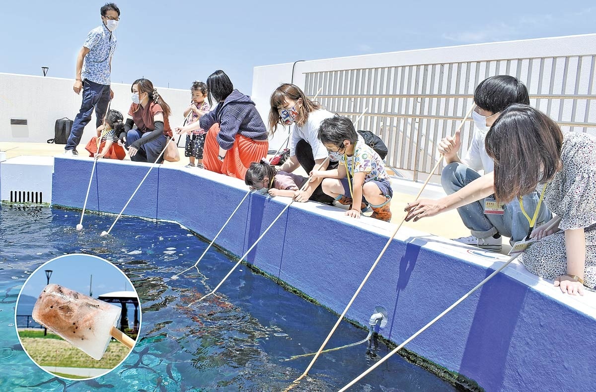 四国 水族館