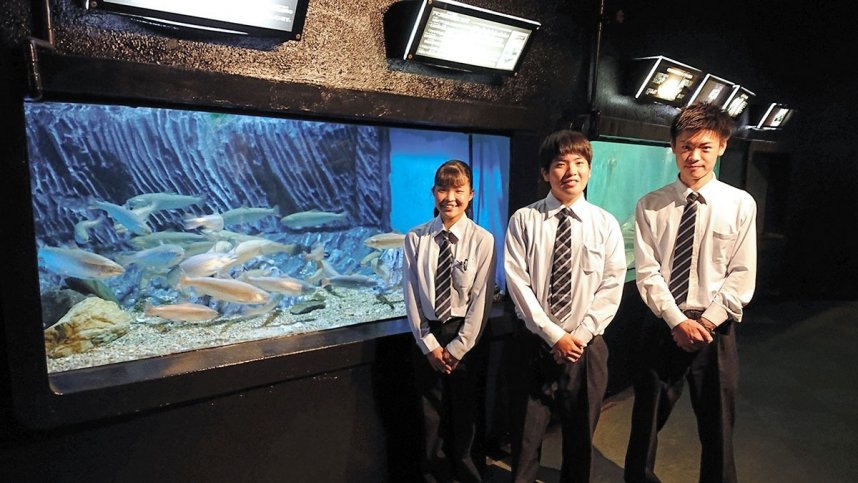 新屋島水族館で展示している多度津高の生徒が育てたサツキマス＝香川県高松市屋島東町