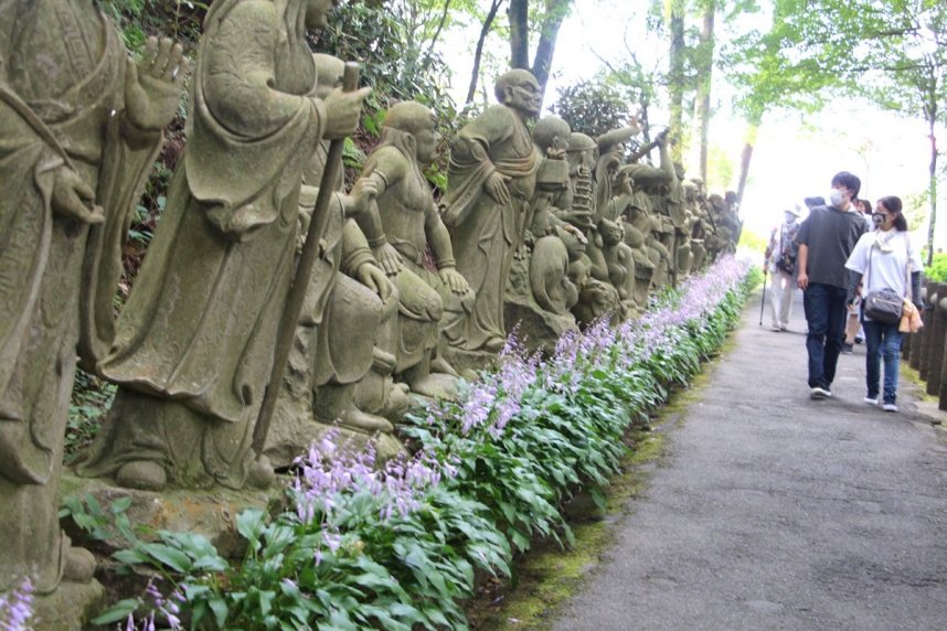 参道沿いにも涼しげな淡い紫色の花を咲かせている