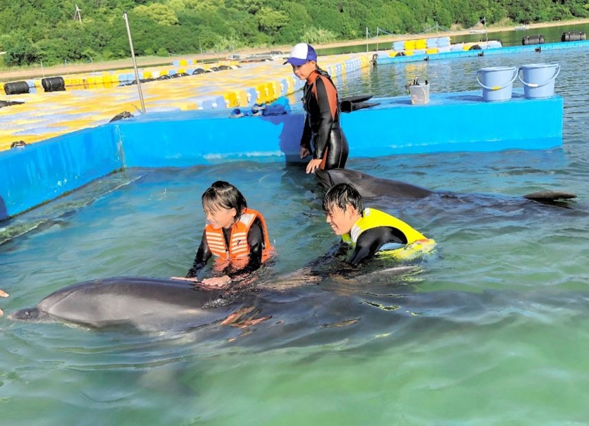 イルカとの触れ合いを楽しむ子どもたち＝香川県さぬき市津田町、日本ドルフィンセンター