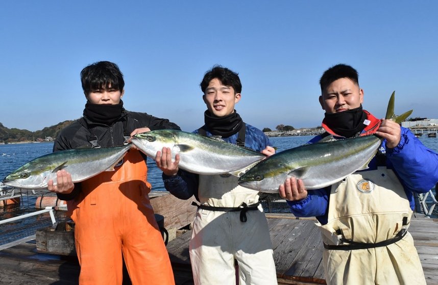 特売が始まった鮮度抜群の「ひけた鰤」＝香川県東かがわ市引田