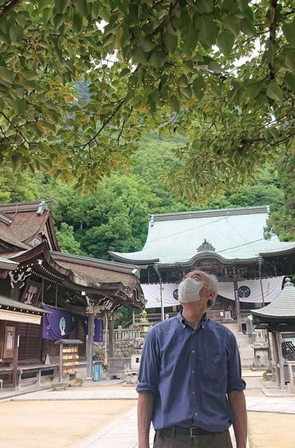 境内を彩るボダイジュの花＝香川県高松市牟礼町、八栗寺