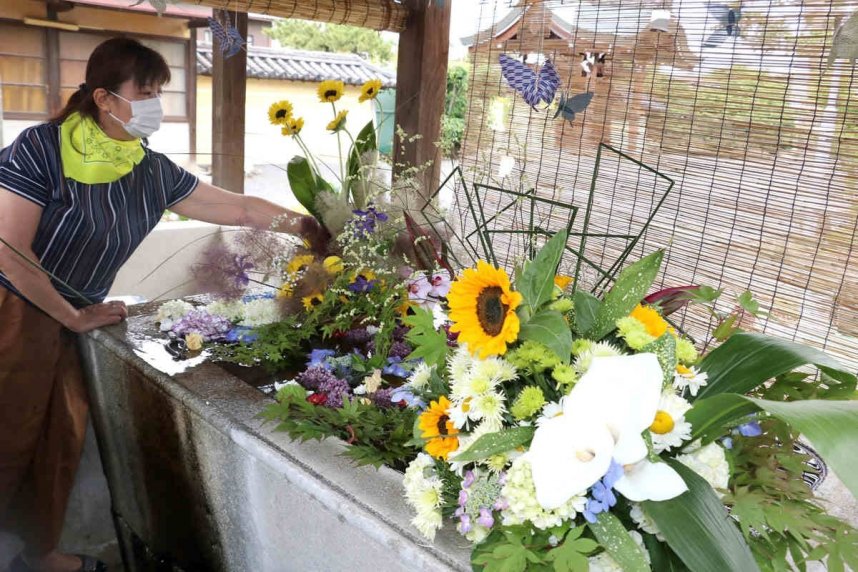 アジサイなどを飾り付けて花手水を完成させるメンバー＝香川県善通寺市、総本山善通寺