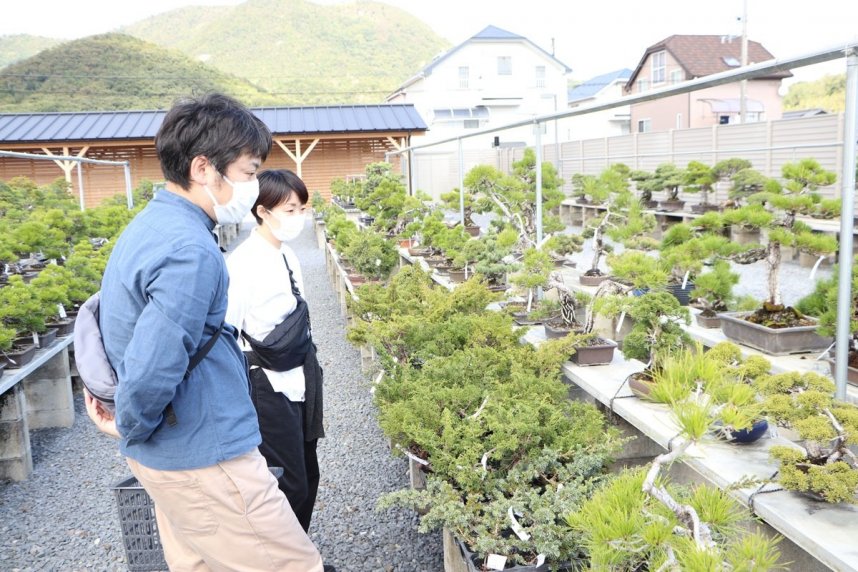 展示即売している盆栽を見定める愛好家＝香川県高松市国分寺町、高松盆栽の郷