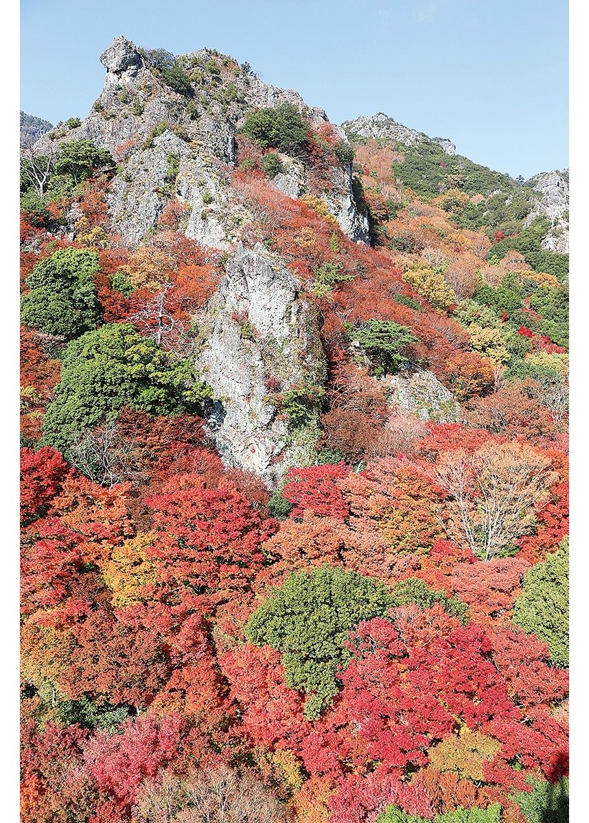 香川県小豆郡小豆島町