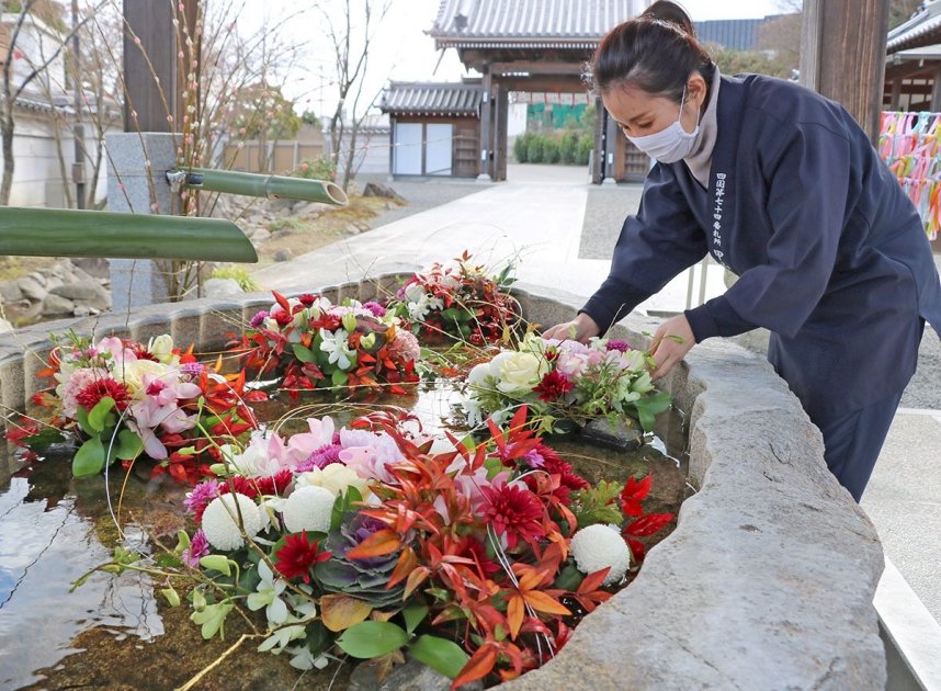 カーネーションなどの花が鉢を彩る「花手水」＝香川県善通寺市弘田町、甲山寺