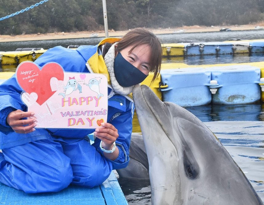 イルカからキスしてもらえるイベントをアピールする施設スタッフ