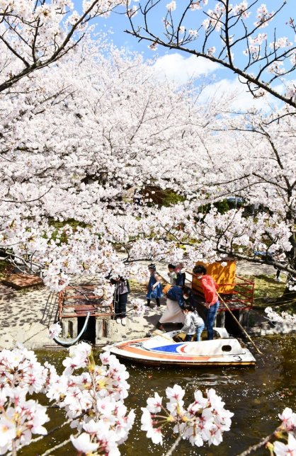 朝日山森林公園