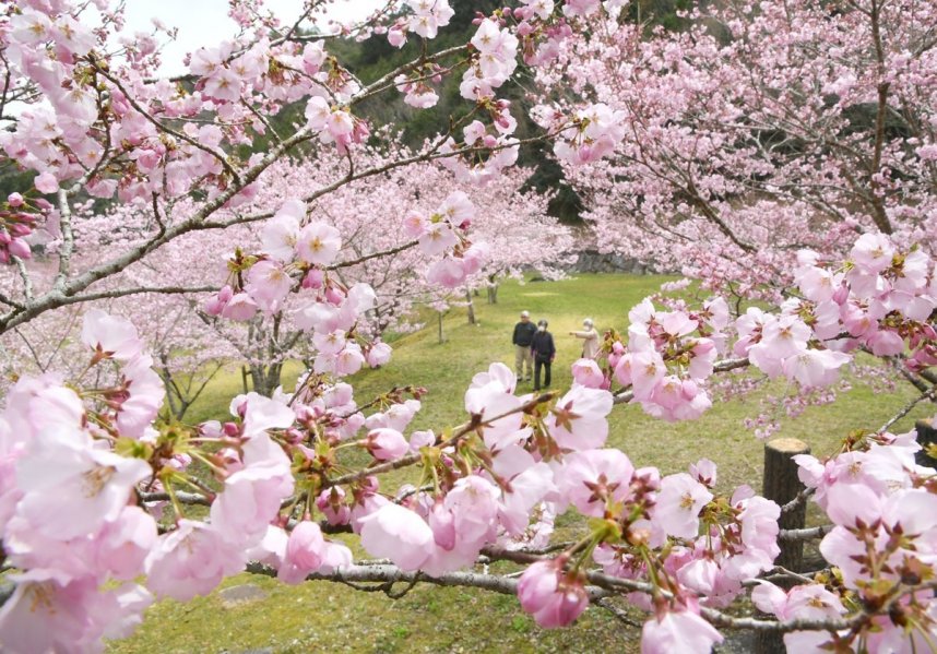 白鳥温泉