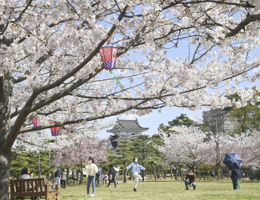 玉藻公園