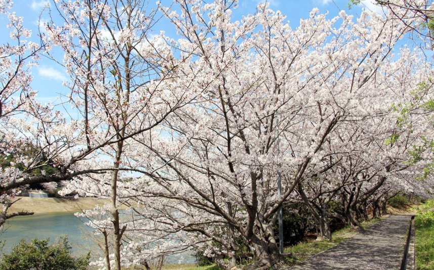 萩の丘公園