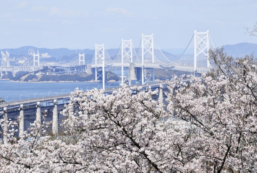 常盤公園