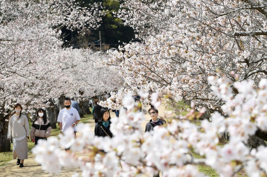 亀鶴公園