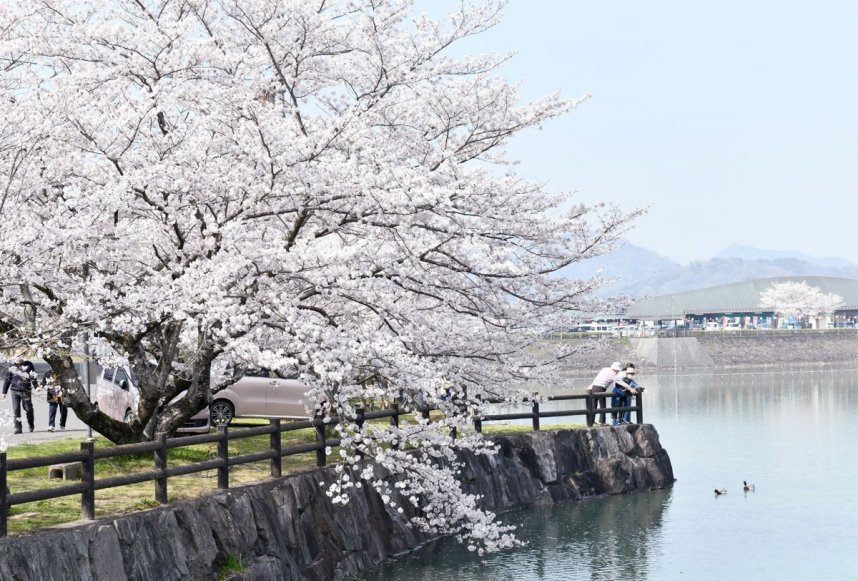 戸川ダム公園