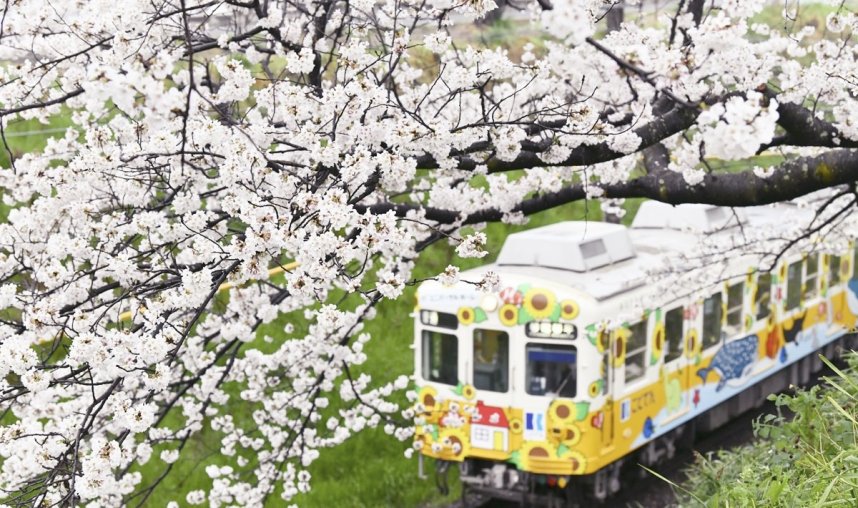 琴電挿頭丘駅周辺