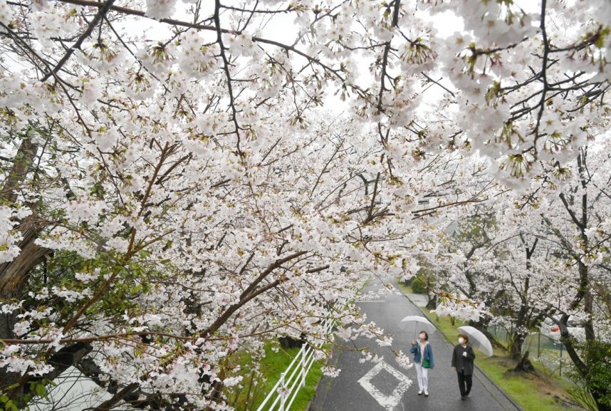 鎌田池周辺