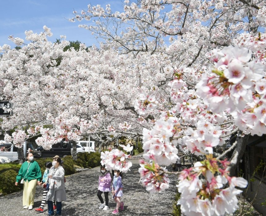 公渕森林公園