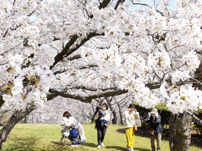 桃陵公園