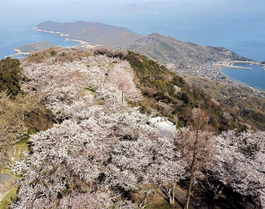 紫雲出山山頂園地