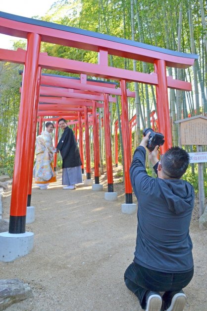 １０８本になった鳥居回廊で婚礼の前撮りを行うカップルら＝香川県丸亀市中津町、中津万象園
