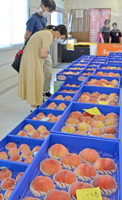 赤く色づいたモモが並ぶ直売所＝香川県丸亀市飯山町、県農協坂本選果場