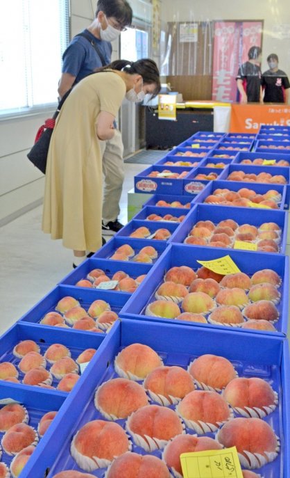 赤く色づいたモモが並ぶ直売所＝香川県丸亀市飯山町、県農協坂本選果場