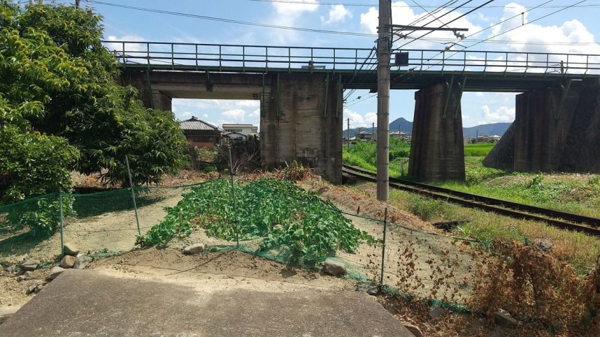 ＪＲ土讃線と高松琴平電気鉄道の立体交差。琴電と並行し、琴平急行電鉄が走っていた＝琴平町（資料）