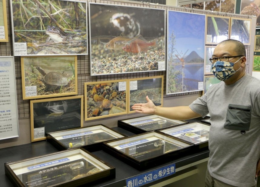 県内の希少生物の現状を伝える担当者＝香川県まんのう町中通、ことなみ未来館