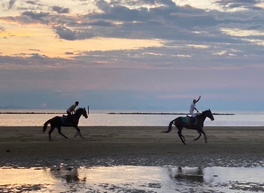 夕闇迫る浜辺で男性２人が馬に乗り、楽しそうに駆け抜けている（有明浜ホースパーク提供）