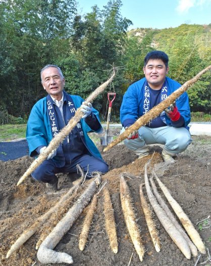 自然薯を手にする南川自然薯研究会のメンバー＝さぬき市大川町