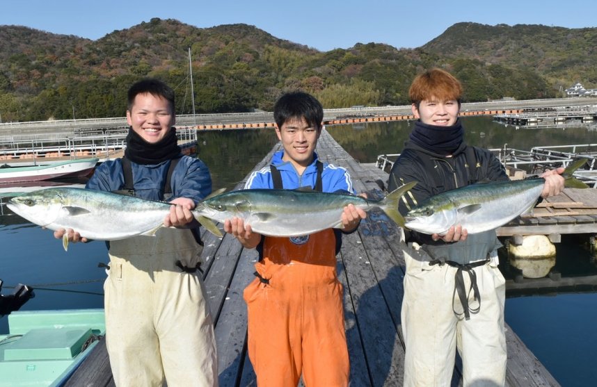 水揚げされたばかりの鮮度抜群の「ひけた鰤」＝東かがわ市引田