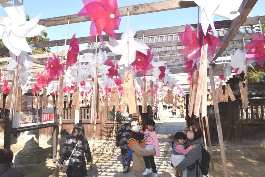 新春を彩る紅白の風車＝香川県東かがわ市松原、白鳥神社