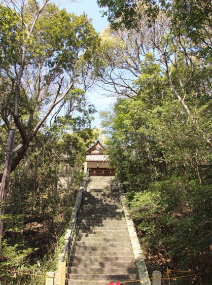雑木に囲まれた馬城八幡神社の境内。経年劣化などにより立ち入りは禁止されている