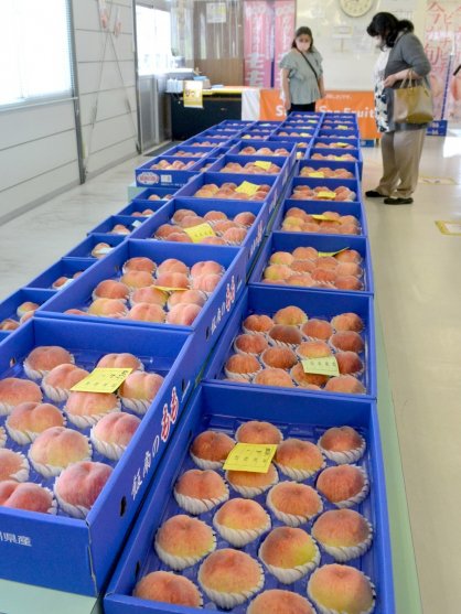 きれいに色づいたモモが並ぶ直売所＝丸亀市飯山町、県農協坂本選果場