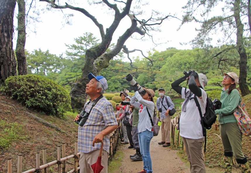 野鳥のさえずりが聞こえる方向を見つめる参加者たち＝香川県高松市栗林町、栗林公園