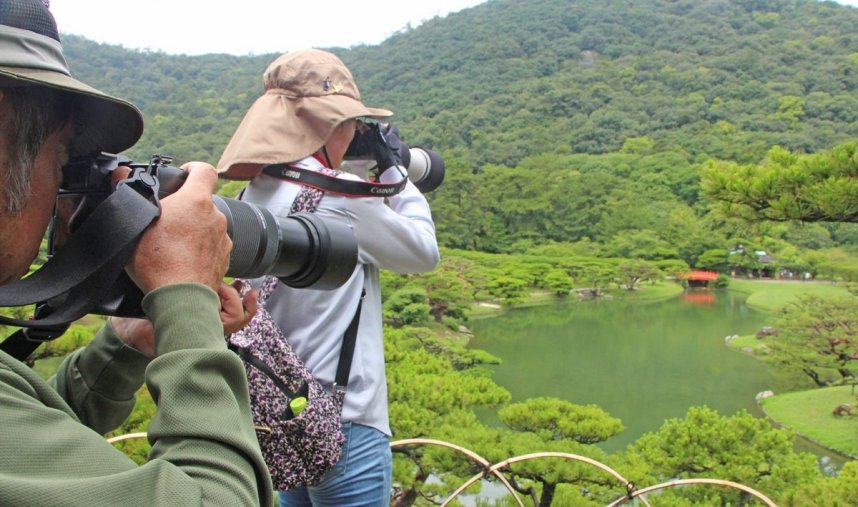 望遠カメラで園内の野鳥を撮影する参加者たち