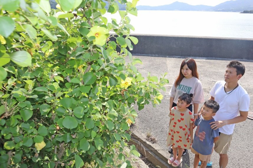 黄色いハマボウの花に見入る家族連れ＝香川県小豆郡小豆島町苗羽