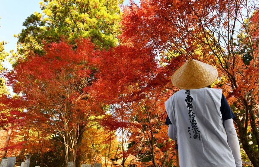 平地より早く紅葉が見頃を迎える四国霊場６６番札所・雲辺寺＝２０２２年１１月５日、徳島県三好市