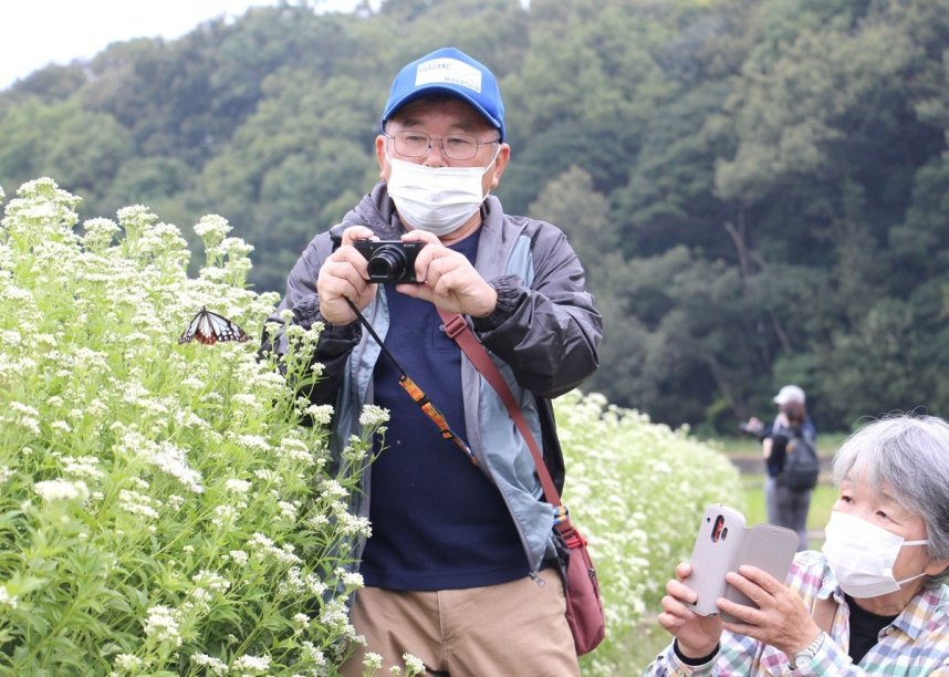 アサギマダラを至近距離で写真に収める観察会の参加者＝香川県観音寺市木之郷町、木之郷フジバカマ園