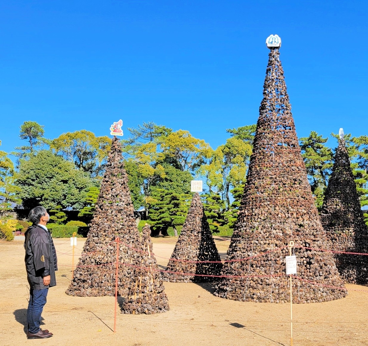 松ぼっくりツリー登場 高松・玉藻公園 | ニュース | COOL KAGAWA 松ぼっくりツリー登場 高松・玉藻公園 | ニュース | COOL KAGAWA