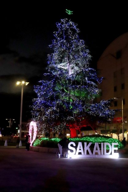 雪をイメージした白と青のＬＥＤでライトアップされるヒマラヤ杉＝坂出市元町、市民広場