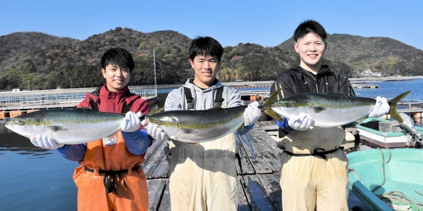 販売されている鮮度抜群のひけた鰤＝東かがわ市引田